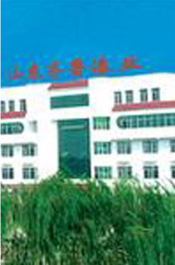 山東齊魯漆業(yè)有限公司